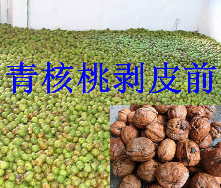 青核桃脱皮机